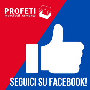 seguici su facebook